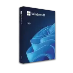 Windows 11 Pro Key (Retail)